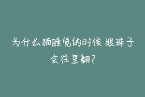 为什么猫睡觉的时候 眼珠子会往里翻？