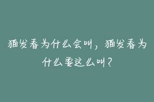 猫发春为什么会叫，猫发春为什么要这么叫？