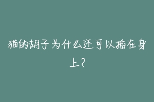 猫的胡子为什么还可以插在身上？