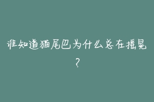 谁知道猫尾巴为什么总在摇晃？