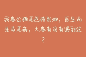 我家公猫尾巴特别油，医生说是马尾病，大家有没有遇到过？