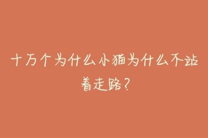 十万个为什么小猫为什么不站着走路？