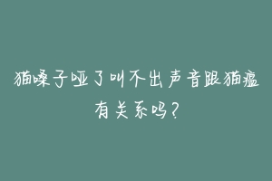 猫嗓子哑了叫不出声音跟猫瘟有关系吗？