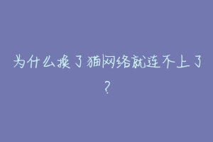 为什么换了猫网络就连不上了？