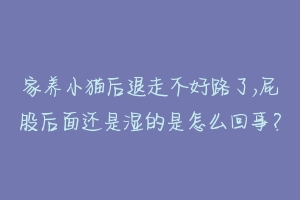 家养小猫后退走不好路了,屁股后面还是湿的是怎么回事？