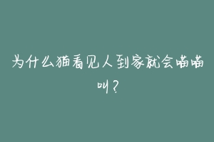 为什么猫看见人到家就会喵喵叫？