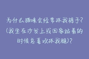 为什么猫咪会经常抓我裤子?(我坐在沙发上或回家站着的时候总喜欢抓我腿)？