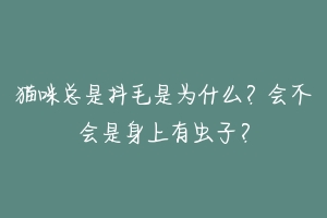 猫咪总是抖毛是为什么？会不会是身上有虫子？