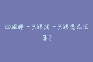 幼猫睁一只眼闭一只眼怎么回事？