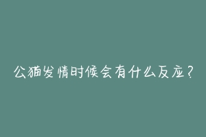 公猫发情时候会有什么反应？