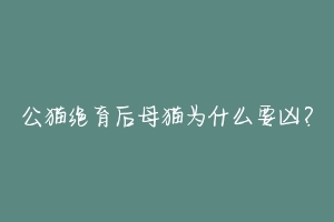 公猫绝育后母猫为什么要凶？