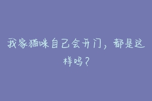 我家猫咪自己会开门，都是这样吗？