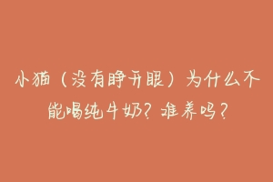 小猫（没有睁开眼）为什么不能喝纯牛奶？难养吗？