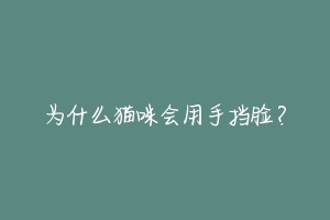 为什么猫咪会用手挡脸？