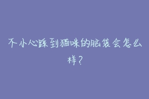 不小心踩到猫咪的脑袋会怎么样？