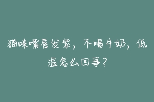 猫咪嘴唇发紫，不喝牛奶，低温怎么回事？