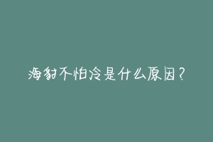 海豹不怕冷是什么原因？