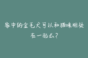 家中的金毛犬可以和猫咪相处在一起么？