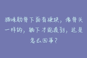 猫咪肋骨下面有硬块，像骨头一样的，躺下才能摸到，这是怎么回事？