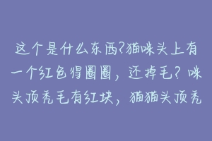 这个是什么东西?猫咪头上有一个红色得圈圈，还掉毛？咪头顶秃毛有红块，猫猫头顶秃掉毛多，是什么？