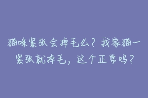 猫咪紧张会掉毛么？我家猫一紧张就掉毛，这个正常吗？