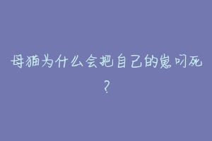 母猫为什么会把自己的崽叼死？