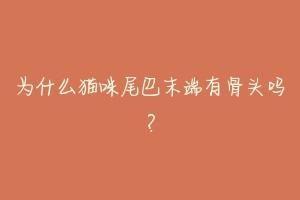 为什么猫咪尾巴末端有骨头吗？