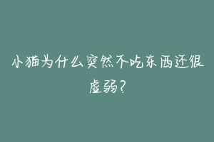 小猫为什么突然不吃东西还很虚弱？