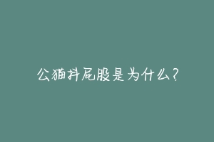 公猫抖屁股是为什么？