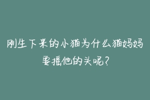 刚生下来的小猫为什么猫妈妈要摇他的头呢？