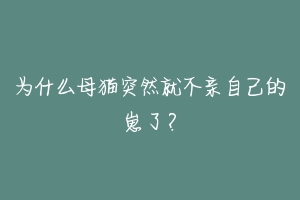 为什么母猫突然就不亲自己的崽了？