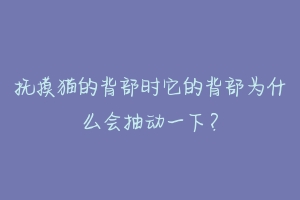 抚摸猫的背部时它的背部为什么会抽动一下？