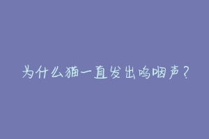 为什么猫一直发出呜咽声？