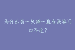 为什么有一只猫一直在我家门口不走？