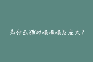 为什么猫对嘬嘬嘬反应大？