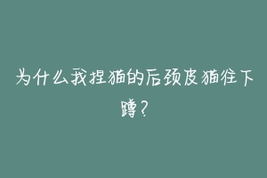 为什么我捏猫的后颈皮猫往下蹲？