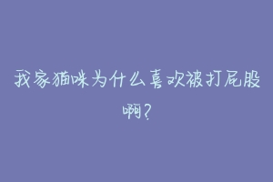 我家猫咪为什么喜欢被打屁股啊？