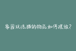 家园玩法猫的物品如何摆放？