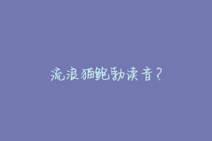 流浪猫鲍勃读音？