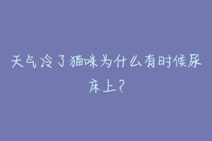 天气冷了猫咪为什么有时候尿床上？