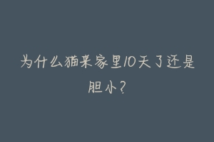 为什么猫来家里10天了还是胆小？