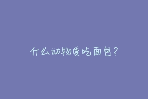 什么动物爱吃面包？