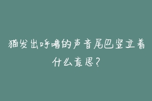 猫发出呼噜的声音尾巴竖立着什么意思？