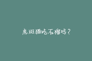 虎斑猫吃石榴吗？