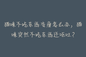 猫咪不吃东西变瘦怎么办，猫咪突然不吃东西还呕吐？