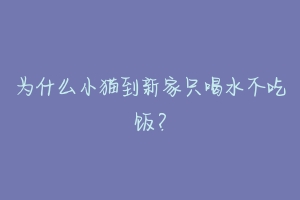 为什么小猫到新家只喝水不吃饭？