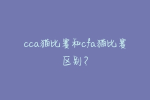 cca猫比赛和cfa猫比赛区别？