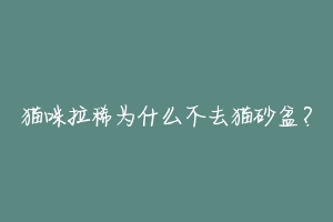 猫咪拉稀为什么不去猫砂盆？