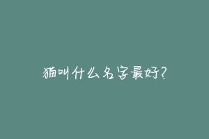 猫叫什么名字最好？