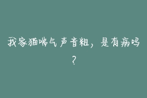 我家猫喘气声音粗，是有病吗？